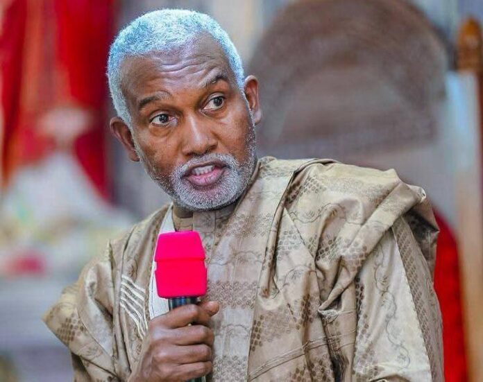 Nigerian-Pilot-Newspaper-super-eagles-win-boosts-nigerian-cultural-diplomacy